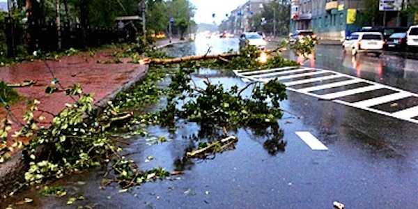 Ураган повалил деревья и оборвал провода в Южно-Сахалинске
