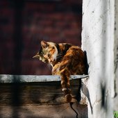30-градусная жара установится с середины недели во Владивостоке