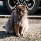 30-градусная жара установится с середины недели во Владивостоке