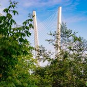 30-градусная жара установится с середины недели во Владивостоке
