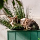 30-градусная жара установится с середины недели во Владивостоке
