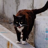 30-градусная жара установится с середины недели во Владивостоке