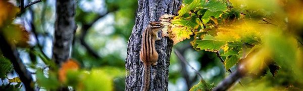 Похолодание в Приморье не будет долгим