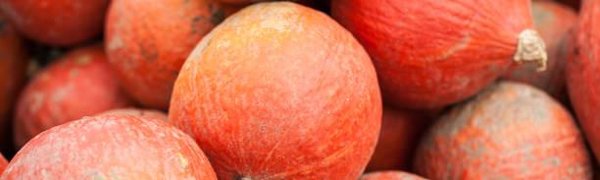 Ярмарка развернётся на центральной площади Владивостока 6 и 7 октября