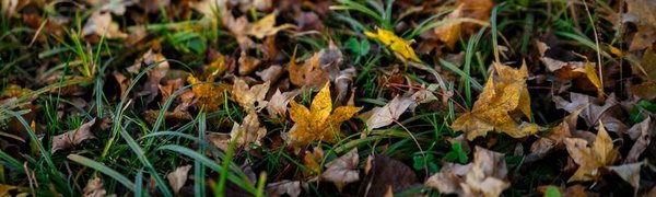 В четверг в Приморье вновь потеплеет