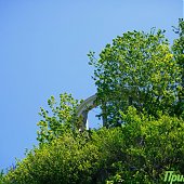 Хорошая погода сохранится в Приморье до пятницы