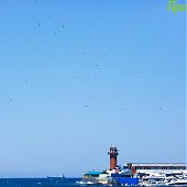 Хорошая погода сохранится в Приморье до пятницы