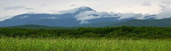 C 1 июня жители Приморья могут выбрать свой «дальневосточный гектар»