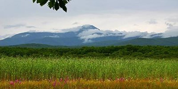 C 1 июня жители Приморья могут выбрать свой «дальневосточный гектар»