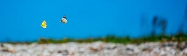 В среду жителей Приморья ждёт жара до +32 °С