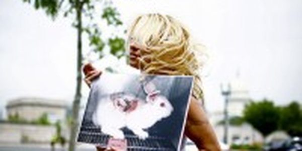 Памела Андерсон просит Путина защитить тюленей