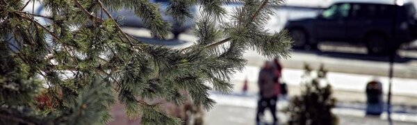 В выходные дни во Владивостоке станет немного теплее