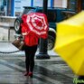 И снова дожди? Синоптики рассказали о погоде в Приморье на выходных