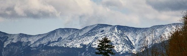 Потепление и осадки ожидаются в Приморье в конце недели
