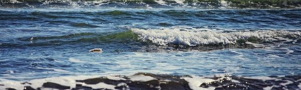 Похолодание в Приморье продолжится 