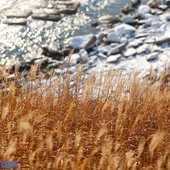 В Приморье начался сезон зимней рыбалки