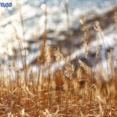 В Приморье начался сезон зимней рыбалки