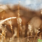 В Приморье начался сезон зимней рыбалки