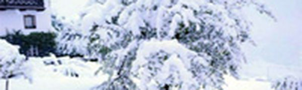 В австрийские Альпы пришла зима