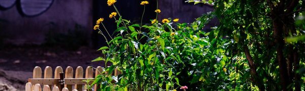 Понедельник будет самым жарким днем во Владивостоке на следующей неделе