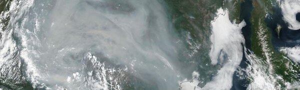 Новый тропический шторм может образоваться в Тихом океане в последних числах июля