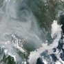 Новый тропический шторм может образоваться в Тихом океане в последних числах июля