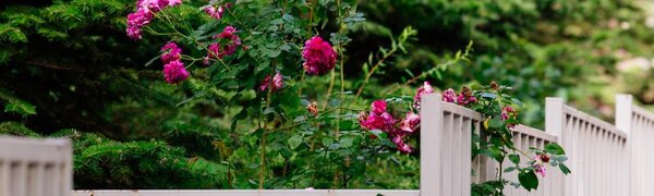 Жара в Приморье усиливается