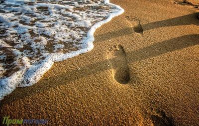 До +24°С прогрелась вода в акватории Владивостока До +24°С прогрелась вода в акватории Владивостока