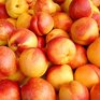 Владивостокцев приглашают на городскую продуктовую ярмарку