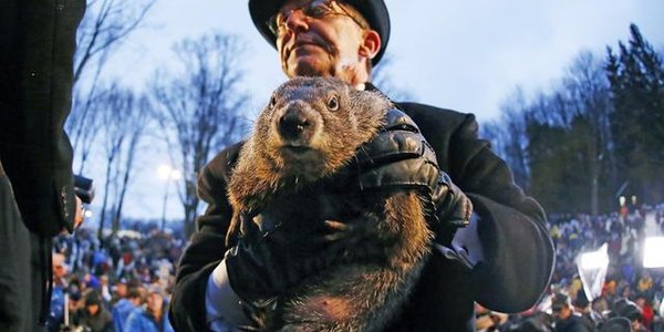 Ещё шесть недель зимы: сурок Фил увидел свою тень