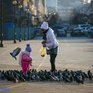 На следующей неделе морозы в Приморье окрепнут