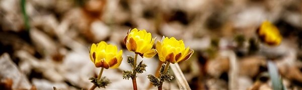 Тёплая без осадков погода сохраняется в Приморье