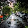 Завтра в Приморье ожидается ненастная погода