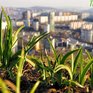 Чем дышал Владивосток с 11 по 20 апреля?