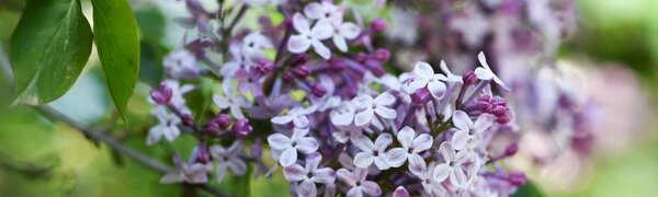 Синоптики уточнили прогноз погоды на последние выходные весны в Приморье