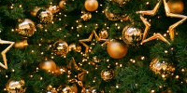 12 экосоветов к Новому году