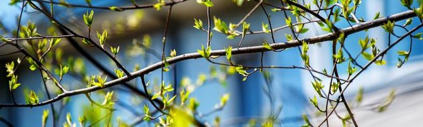 Синоптики рассказали о погоде в Приморье и Владивостоке в конце апреля
