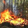 Приморский край готовится к осеннему пожароопасному сезону