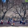 Чем дышал Владивосток с 21 по 29 апреля?