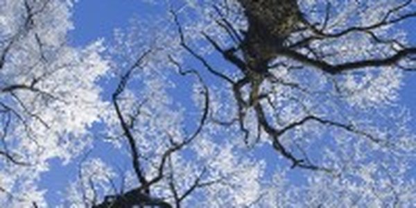 Резких изменений в погоде в Приморье не предвидется