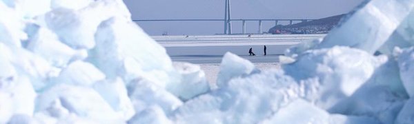 Аномальные холода продолжают испытывать на прочность Приморье