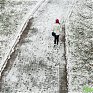 Во Владивостоке выпало 1.5 мм осадков