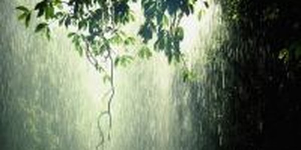 В выходные дни будет дождливо