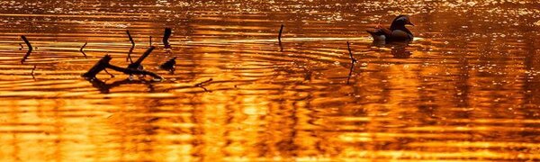 До 3 м составляет общий весенний подъем воды на реках Приморья