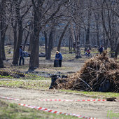 Субботники во Владивостоке