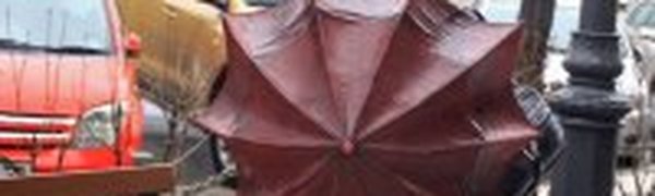 Осадки охватят всю территорию края уже завтра