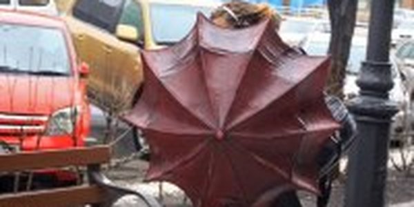 Осадки охватят всю территорию края уже завтра