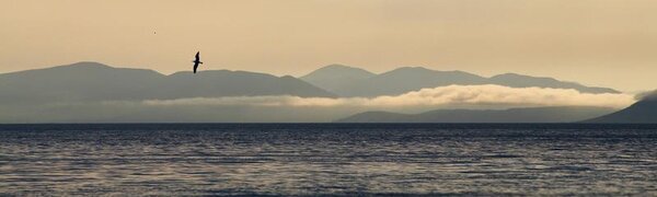 Переменчивая погода ожидается в Приморье на следующей неделе
