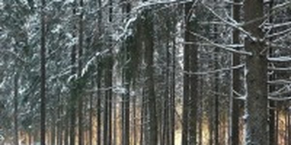 Первые дни веcны принесут с собой небольшой снег
