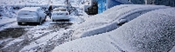 За ночь во Владивостоке выпало 19 мм осадков